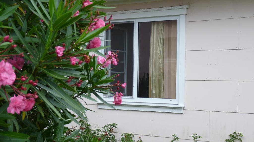 Azores Garden House - Private Suites & Apartments - Automatic Self Check-In Ponta Delgada  Ngoại thất bức ảnh