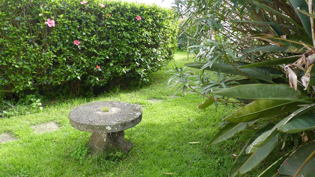 Azores Garden House - Private Suites & Apartments - Automatic Self Check-In Ponta Delgada  Ngoại thất bức ảnh