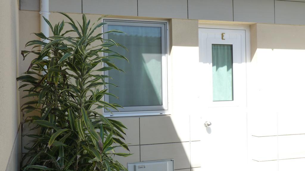 Azores Garden House - Private Suites & Apartments - Automatic Self Check-In Ponta Delgada  Ngoại thất bức ảnh
